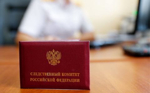 Жителя Коми осудили за истязание своих дочерей