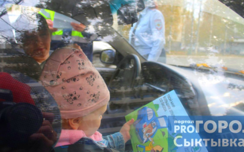 Статистика: 22% жителей Коми - дети