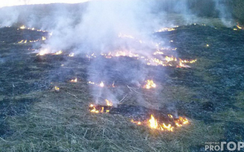В одном из районов Коми сохраняется максимальная пожароопасность