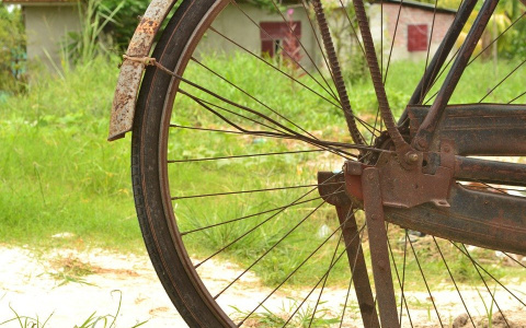 Житель Коми поехал в Углич на велосипеде и оказался за решеткой