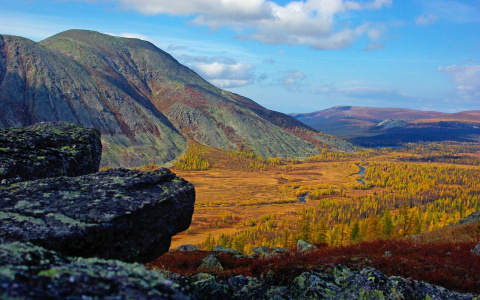 В «Югыд-ва» ищут сторожа, который не доехал до места работы