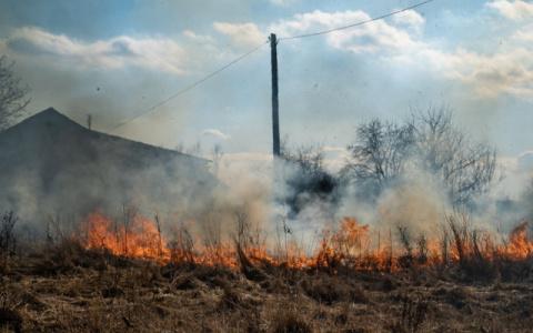 В двух районах Коми сохранится максимальный уровень пожароопасности