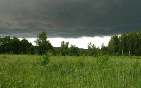 Снова холода: синоптики дали прогноз на предстоящую неделю в Коми