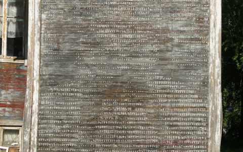 В Сыктывкаре на старой «деревяшке» появился рисунок девушки