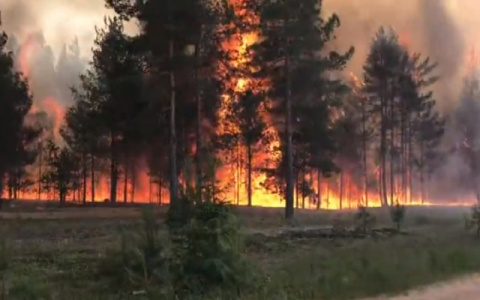 Почти во всей Республике Коми объявили чрезвычайно высокую пожароопасность