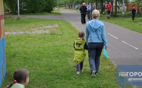 В сыктывкарском парке появится новый газон