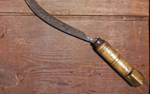 Житель Выльгорта напал с серпом на приятеля