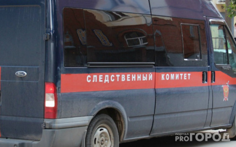В Сыктывкаре завели уголовное дело на специалиста отдела снабжения птицефабрики «Зеленецкая»