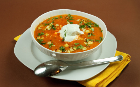 Мясников предупредил о вреде супов