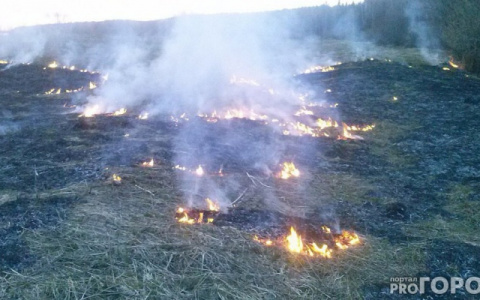 В двух районах Коми объявили чрезвычайно высокую пожароопасность