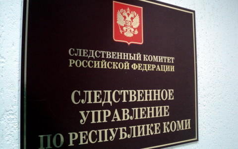 В Коми из окна выпал ребенок, малыш скончался