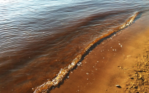 В Коми на реке утонул подросток