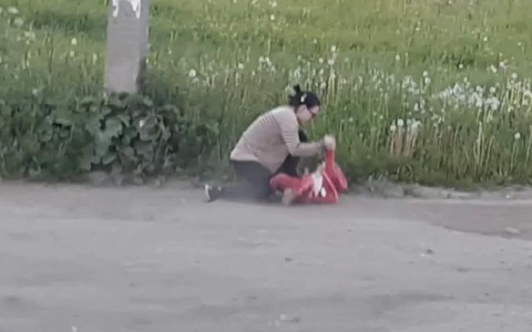 В Сети распространяется видео, как сыктывкарка бьет свою малолетнюю дочь