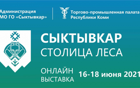 Сыктывкарцев приглашают виртуально посетить столицу леса