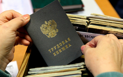 Названы самые прибыльные вакансии в Коми за месяц