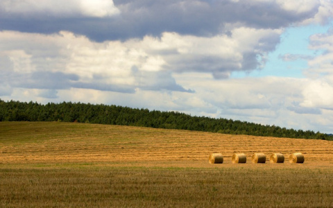 +19 и без осадков: погода в Сыктывкаре на 18 июня