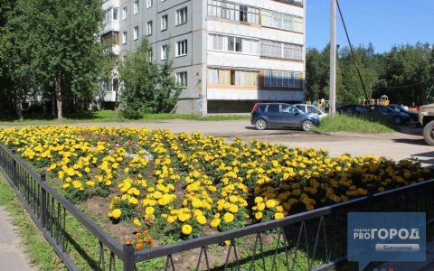 Погода в Сыктывкаре на 28 июня: снова жаркий понедельник