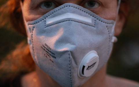 В Индии найден один из опаснейших для человека вирусов, и это не «корона»