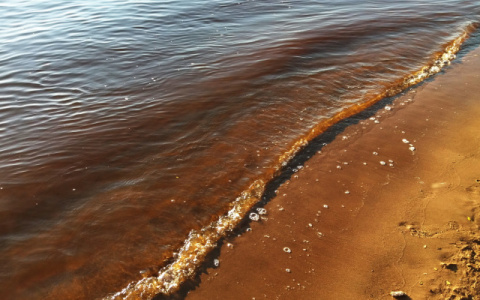 На реке в Коми утонул еще один ребенок