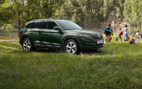 В компании «Квета — Авто» рассказали, как безопасно путешествовать на автомобиле с питомцем