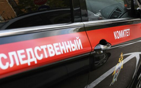 Гибелью двоих детей на реке в Коми займутся следователи