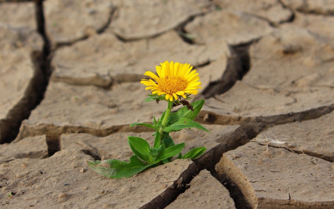 Синоптики рассказали, когда ждать самых жарких дней в 2021-м