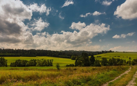 Жара набирает обороты: погода в Сыктывкаре на 6 июля