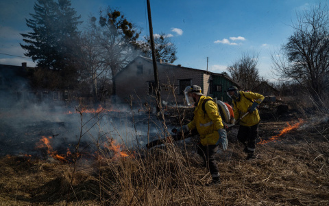 В Коми объявлен V класс пожарной опасности