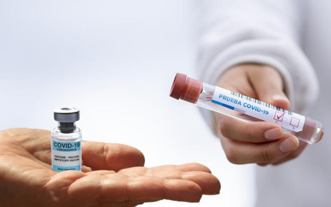 Россияне готовы пожертвовать работой, чтобы не делать прививку от COVID-19