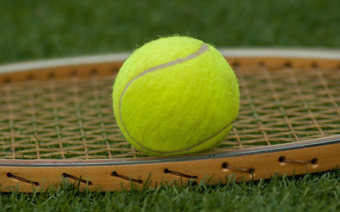 Подземный проходчик, балерина и тренер по теннису: самые необычные вакансии в Коми за лето