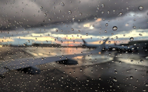 Похолодание и небольшой дождь: погода в Сыктывкаре на 12 июля