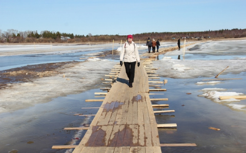 В Сыктывкаре определили подрядчика, который построит мост в Седкыркещ
