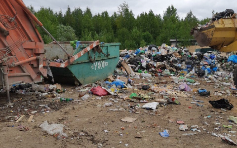 «Ароматы чувствуются даже вдоль трассы»: в Коми разрастается незаконная мусорная свалка