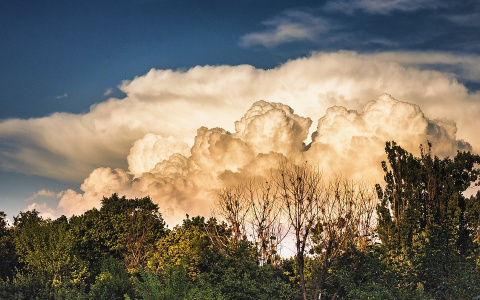 Грозы и дожди с жарой: погода в Сыктывкаре на 16 июля