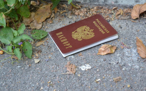 В России можно будет получить паспорт всего за 5 дней