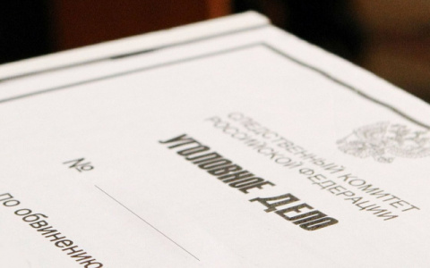 В Коми семейная пара пыталась сбежать от полиции и напала на стража порядка