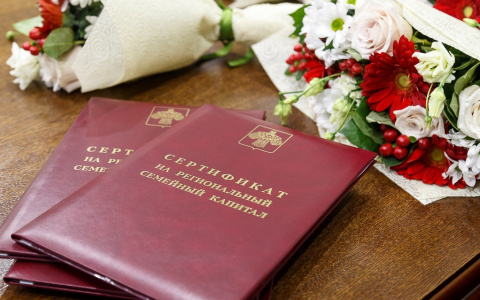 Приукрашивание статистики или реальная помощь: чего ждут многодетные от нового материнского капитала в Коми
