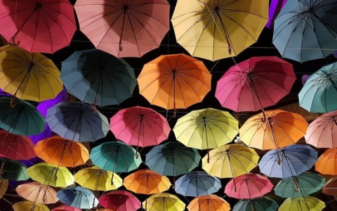 Тепло, но слегка пасмурно: прогноз погоды в Сыктывкаре на 3 августа