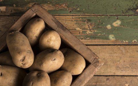 Как правильно выбрать картошку: простые советы