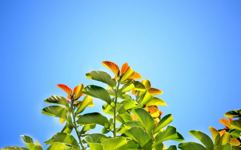 Погода в Сыктывкаре на 17 августа