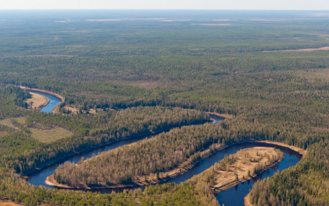 Золотая середина: в Коми выяснили, где находится самый центр республики
