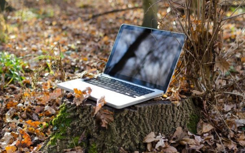 Мэрия спросила сыктывкарцев, где они хотят бесплатный Wi-Fi