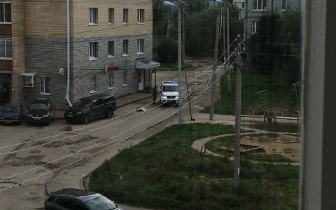 Сыктывкарка: «У нас во дворе лежал труп»