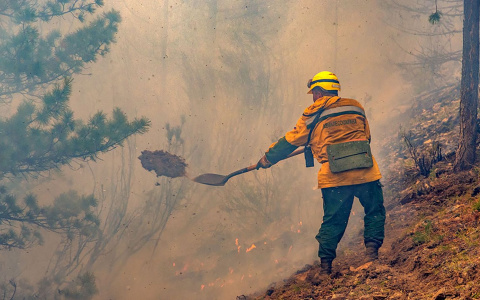 В Коми уже неделю тушат лесной пожар