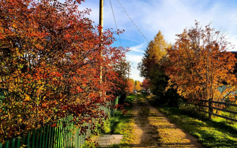 Погода в Сыктывкаре на 30 августа: холодный понедельник