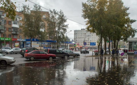 Погода в Сыктывкаре на 5 сентября: настоящая осень