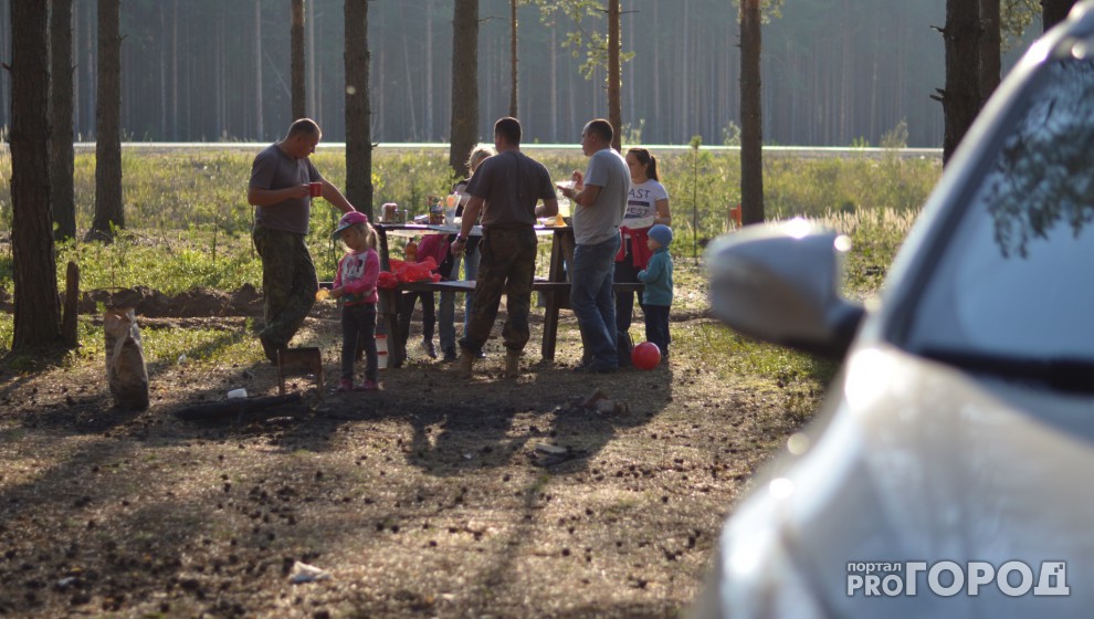 Топ-5 шашлычных мест: где пожарить барбекю неподалеку от Сыктывкара