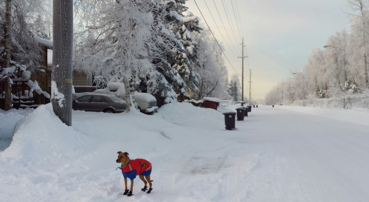 Комоды в сыктывкаре на огородной