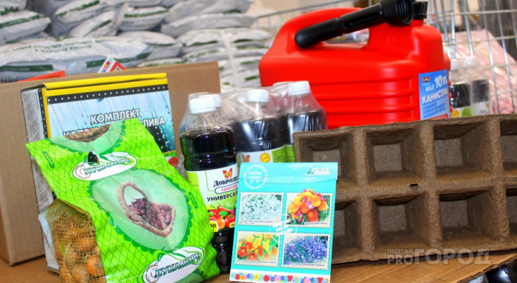 Рассада: семена, грунт, грунт купите дешево в сыктывкарском «Светофоре» |  Новости Сыктывкара | Про Город Сыктывкар