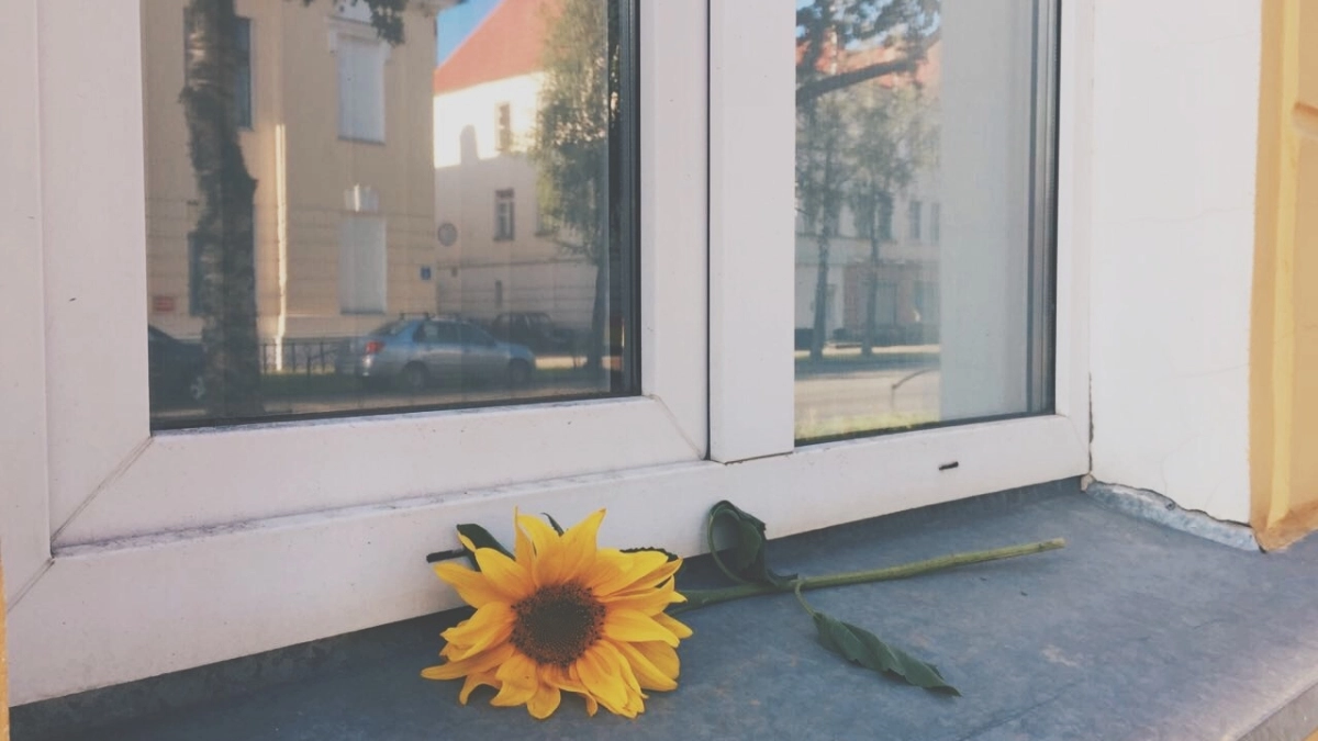 Нужно ли закрывать окно в жару, когда включаешь кондиционер – запомните раз и навсегда